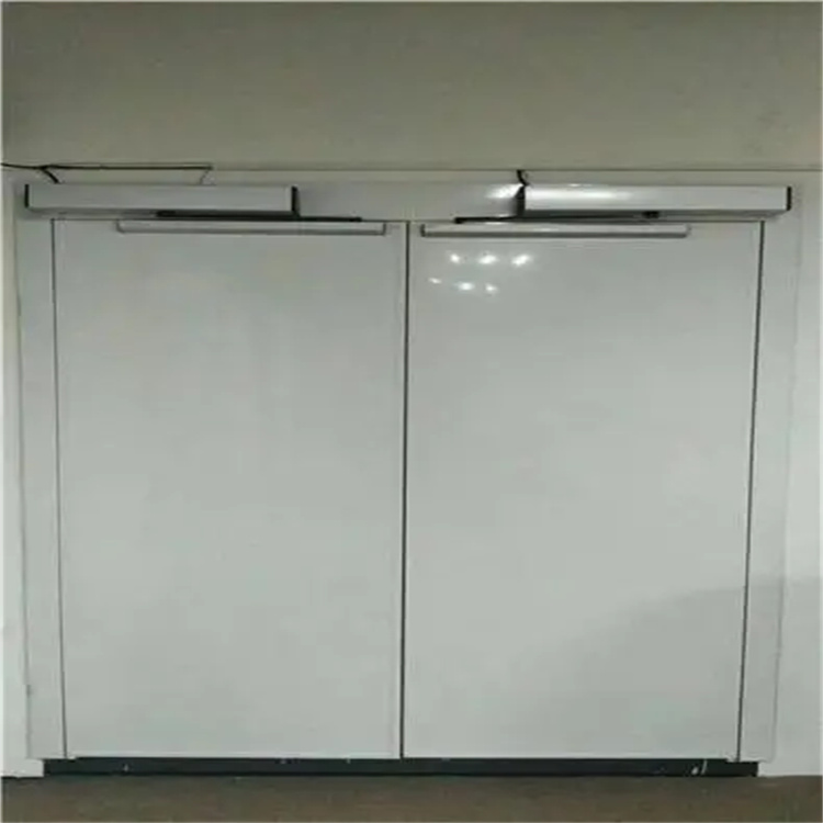 双开电动平开铅门 (2).jpg